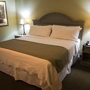 Budget Single Room