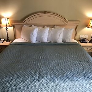 Large Single Room